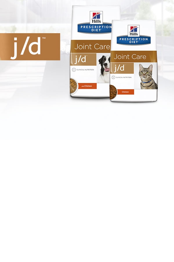 UNTERSTÜTZUNG DER GELENKE